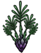 Asparagus Fern.png